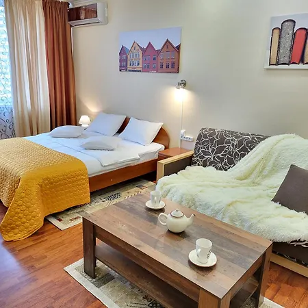 Apartment On Hryshka Street *