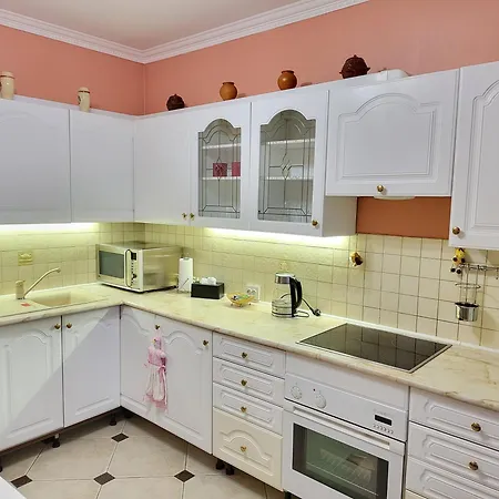 On Hryshka Street Apartment *